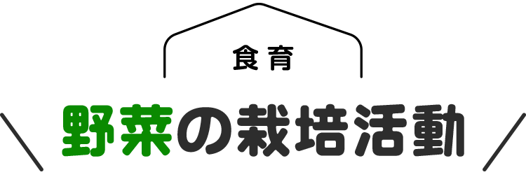 野菜の栽培活動